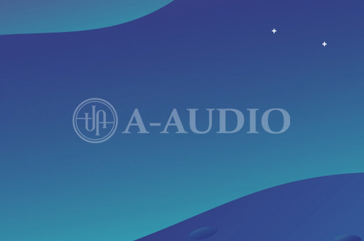 高品質 A2 便攜式無線 Wifi 音響